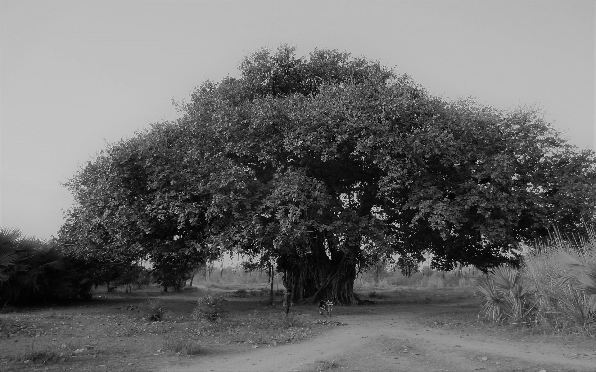 भारतीय क्षात्त्र परम्परा - Part 105